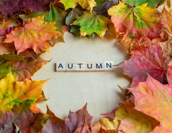 Autumn Background Yellow Red Maple Leaves Inscription Autumn Wooden Background — Stock Photo, Image