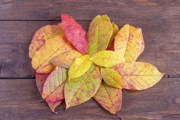 Outono Folhas Vermelhas Amarelas Marrons Velho Fundo Madeira — Fotografia de Stock