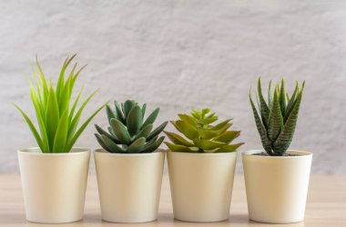 Aydınlık bir masada ya da odanın duvarındaki rafta suni sulu tencereler var..