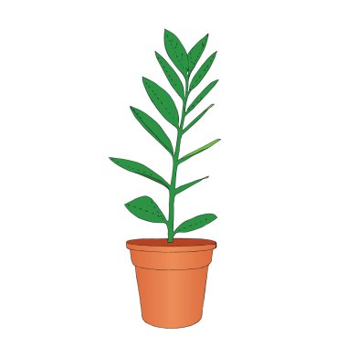 El çekilmiş zamioculcas Oda çiçek pota. Vektör çizim.