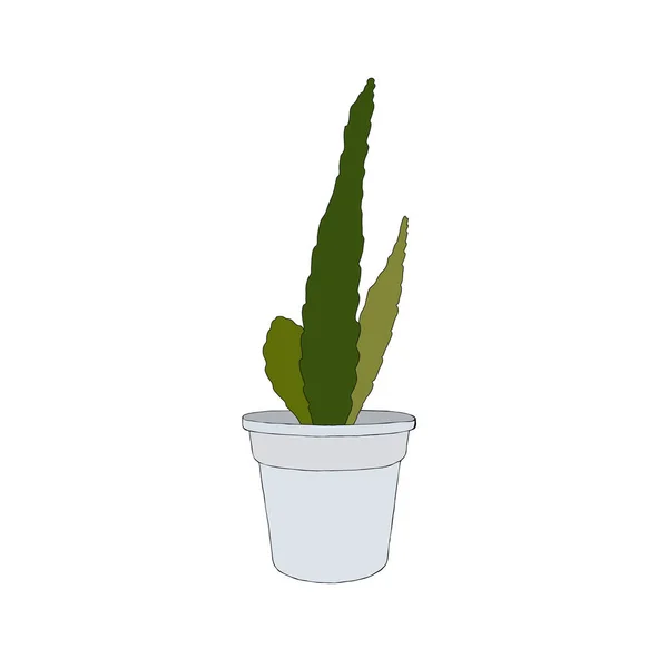 Hand Dras Cactus Ett Pot Vektorillustration — Stock vektor