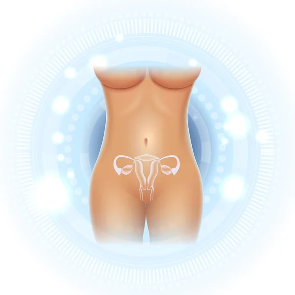 女性生殖器官子宫和卵巢 适合身体在一个美丽的浅蓝色科学背景 — 图库矢量图片