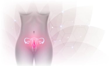 Kadın üreme organları güzel sanatsal tasarım, arka plan şeffaf çiçek.