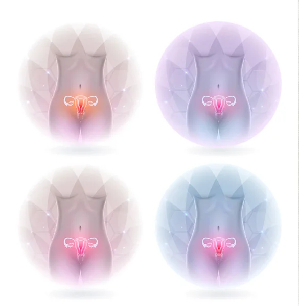 女性生殖器官设计精美多彩套装 生育和生殖系统卫生保健 — 图库矢量图片