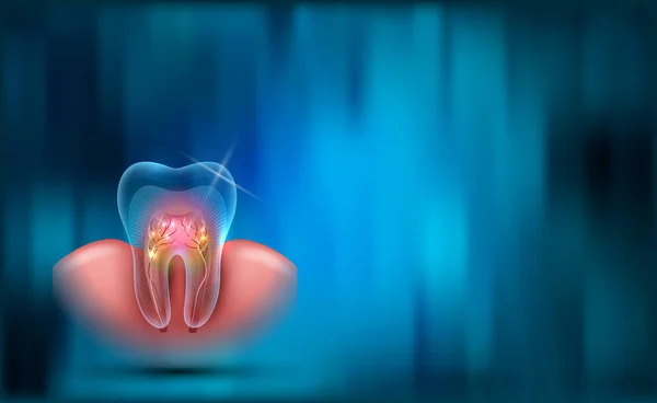 Fondo Dental Sección Transversal Transparente Los Dientes Raíces Encías Sobre — Archivo Imágenes Vectoriales