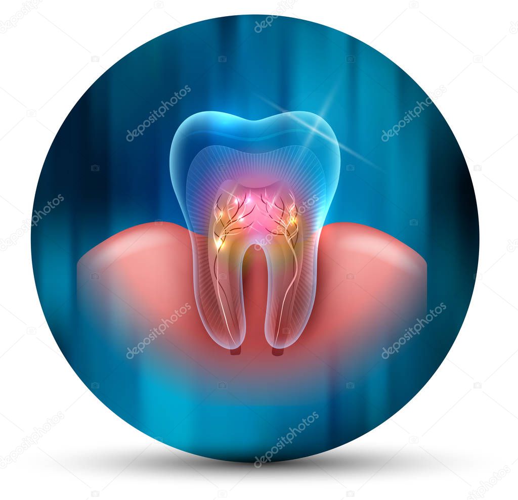 Tooth cross section scientific modern design icon on an abstract blue background