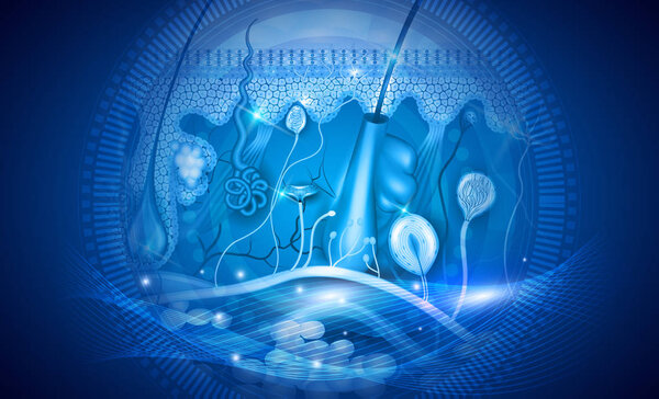 Анатомия кожи детальная структура абстрактный синий фон дизайн
