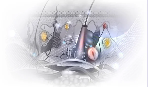 Anatomia Della Pelle Struttura Dettagliata Astratto Luce Trasparente Sfondo Design — Vettoriale Stock