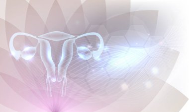 Female reproductive organs beautiful artistic design, transparent flower at the background with glow clipart