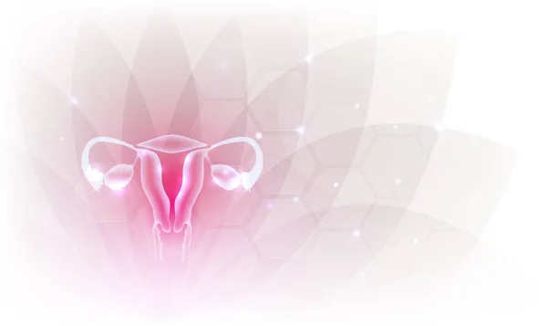 Órganos Reproductivos Femeninos Hermoso Diseño Artístico Flor Transparente Fondo — Vector de stock