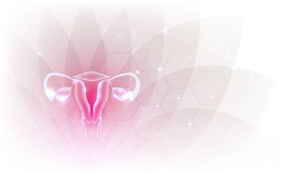 Female reproductive organs beautiful artistic design, transparent flower at the background.