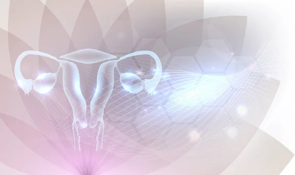 Female Reproductive Organs Beautiful Artistic Design Transparent Flower Background Glow — Stock Vector