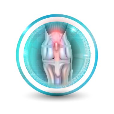 Anatomy of the canine (dog's) knee joint colorful symbol, icon design, healthy joint round icon on a white background. clipart