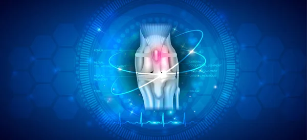 Anatomia Zdrowego Psa Psa Stawu Kolanowego Koncepcja Opieki Zdrowotnej Abstrakcyjnym — Wektor stockowy