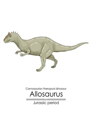 Allosaurus, bir Jura dönemi karnosaurian theropod dinozoru, büyük bir etobur yırtıcı.. 