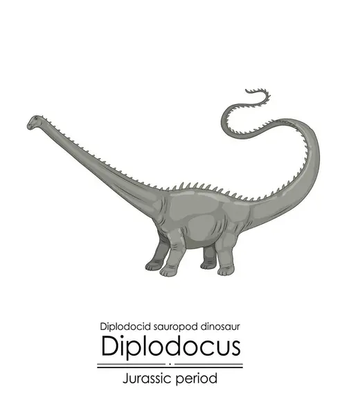 Diplodocus Ein Sauropoden Dinosaurier Aus Der Jurazeit Pflanzenfressende Kreatur Mit — Stockvektor