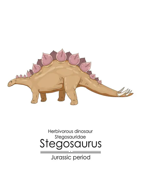 Стегозавр Травоїдний Броньований Динозавр Юрського Періоду — стоковий вектор