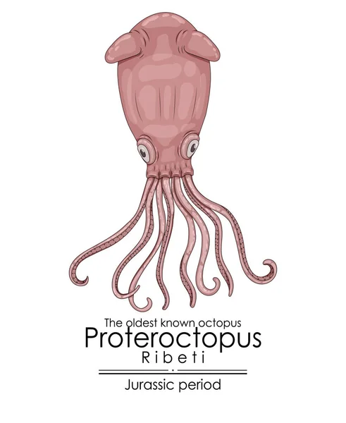 侏罗纪已知最古老的章鱼Proteroctopus Ribeti 免版税图库插图
