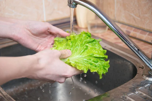 Adamın elleri marul yapraklarını yıkıyor. Su yeşil marul üzerinde akıyor. Vejetaryen atıştırmalığının bir parçası. Hijyen, sağlık ve güvenlik kavramı.