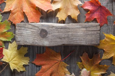 ahşap zemin üzerinde yukarıdan renkli sonbahar yaprakları 