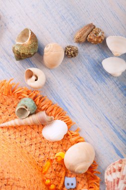 Deniz kabukları ve güneş şapka ahşap arka plan üzerinde Kapat
