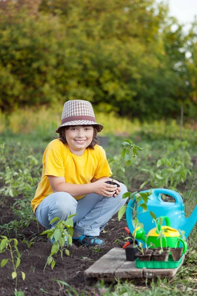 男孩与绿色植物和浇灌罐头在庭院里 — 图库照片