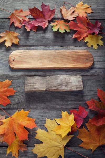 ahşap zemin üzerinde yukarıdan renkli sonbahar yaprakları 