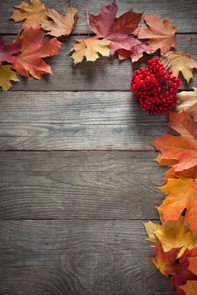 Vista Superior Coloridas Hojas Otoño Bayas Suelo Madera — Foto de Stock