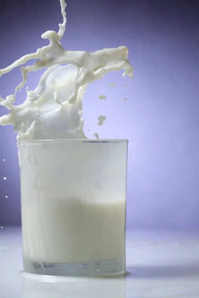 Брызги Молока Стекло Сиреневом Фоне — стоковое фото