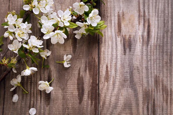 Fleurs Printanières Blanches Sur Fond Bois — Photo