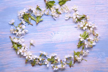 Bahar çiçek mavi ahşap arka plan üzerinde çerçeve