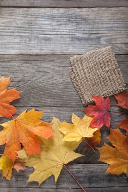 ahşap zemin üzerinde renkli sonbahar yaprakları ve meyveleri üstten görünüm 