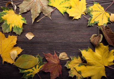 ahşap zemin üzerinde yukarıdan renkli sonbahar yaprakları 