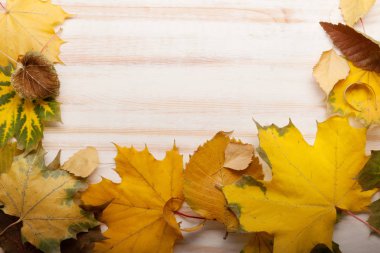 üstten görünüm sonbaharın çerçeve ahşap yüzeye bırakır.