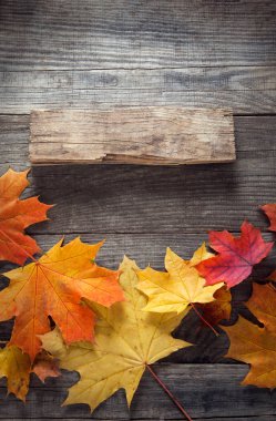 ahşap zemin üzerinde yukarıdan renkli sonbahar yaprakları 