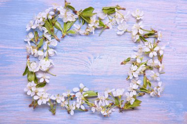 Bahar çiçek mavi ahşap arka plan üzerinde çerçeve