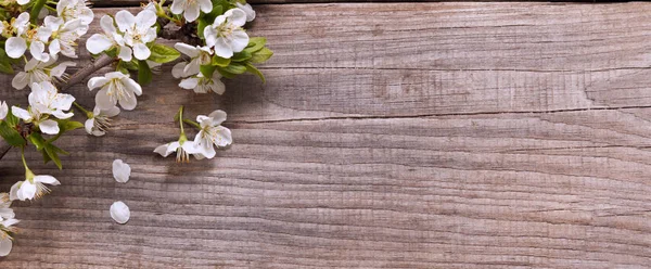 White Spring Flowers Wooden Background — Stock Photo, Image