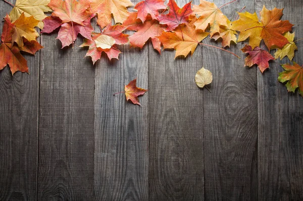 Blick Von Oben Auf Bunte Herbstblätter Auf Holzboden — Stockfoto