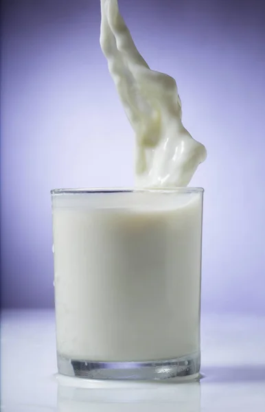 Γάλα Ποτήρι Λιλά Φόντο Εκτοξεύεται — Φωτογραφία Αρχείου