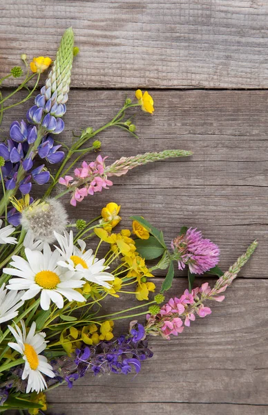 Puncak Tampilan Bunga Liar Yang Berbeda Pada Latar Belakang Kayu — Stok Foto