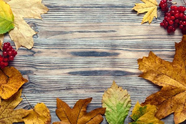 Vista Dall Alto Foglie Colorate Autunnali Bacche Sul Pavimento Legno — Foto Stock