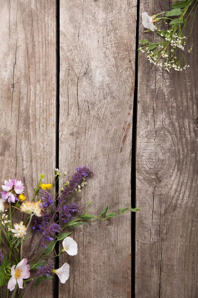 Дикие Цветы Гранжевом Деревянном Фоне — стоковое фото
