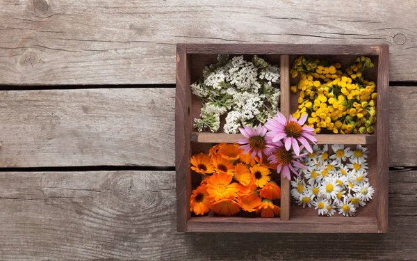 Heilkräuter Alter Holzkiste Auf Dem Tisch — Stockfoto