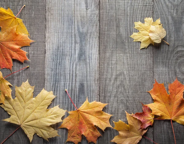 ahşap zemin üzerinde yukarıdan renkli sonbahar yaprakları 