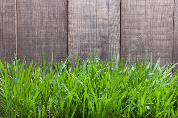 Fresh Green Lawn Rustic Grunge Fence — Stock Photo, Image