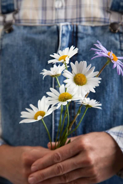 Närbild Chamomiles Kvinna Händer — Stockfoto