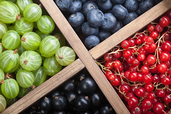 Blick Auf Bunte Beeren Holzkiste — Stockfoto