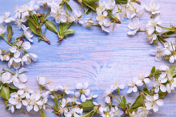 Marco Flores Primavera Sobre Fondo Madera Azul —  Fotos de Stock