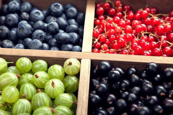 Blick Auf Bunte Beeren Holzkiste — Stockfoto