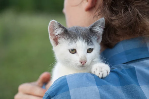 Primer Plano Vista Gatito Hombro Niño Aire Libre — Foto de Stock